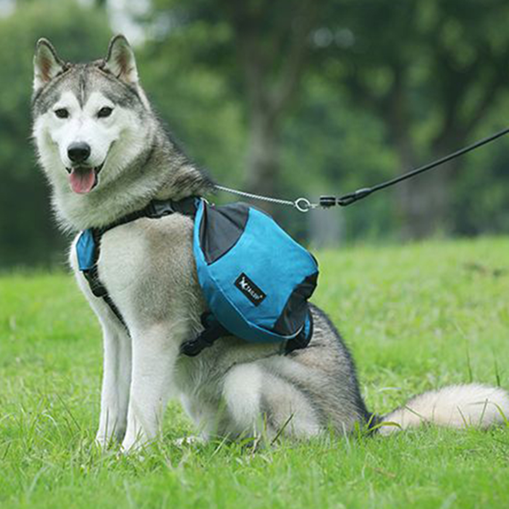 Colete de Treinamento para Cãe - Crossfit Weight Vest avaliação e preço